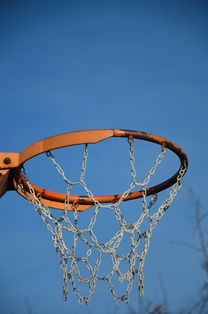 开云体育足球-NBA球员体能训练计划设计与效果评估，nba球员的体能训练