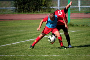 开云体育在线-NBA联盟反兴奋剂政策执行效果评估，美国反兴奋剂法案  第2张