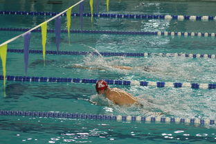 开云体育官网在线-全国青少年游泳锦标赛青春风采尽展，全国青少年游泳比赛成绩