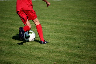 开云体育足球-英超青训体系中情绪调节训练对青少年比赛焦虑的控制作用，英超青训球员定义